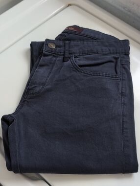 29 Zara Men's Deep Blue Casual Pant